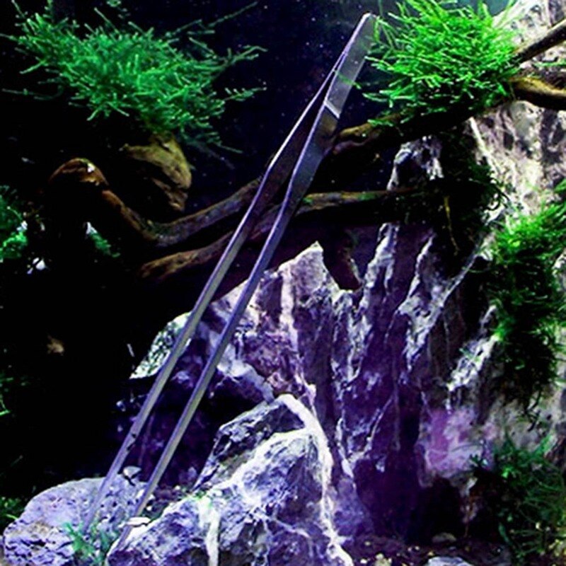 Roestvrijstalen aquarium onderhoudsgereedschap pincet schaar voor levende planten gras gebogen & rechte pincet schaar gereedschap