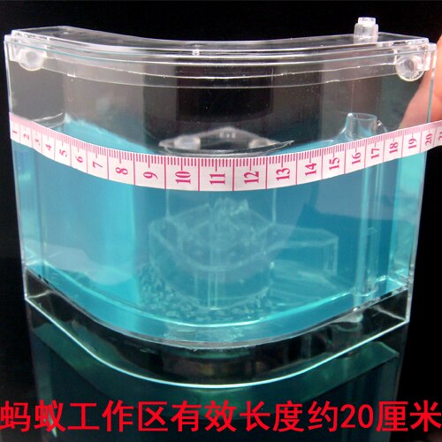 Authentic Ant farm Birthday pet villa Home queen ants workshop from mail Ant farm