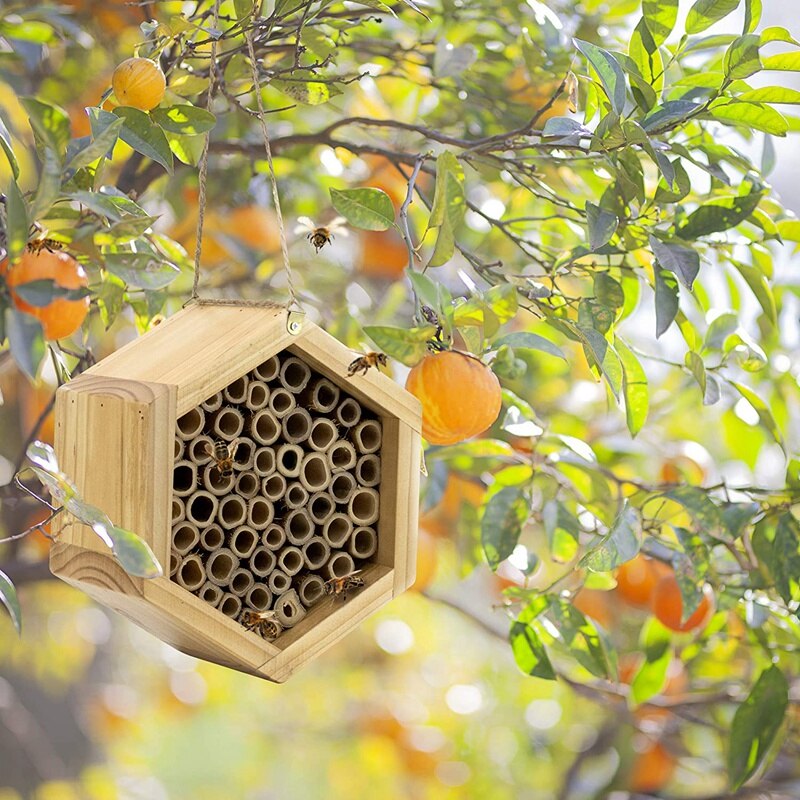 Handmade Natural Bamboo Bee Hive Mason Bee House Attracts Peaceful Bee Pollinators for the Garden