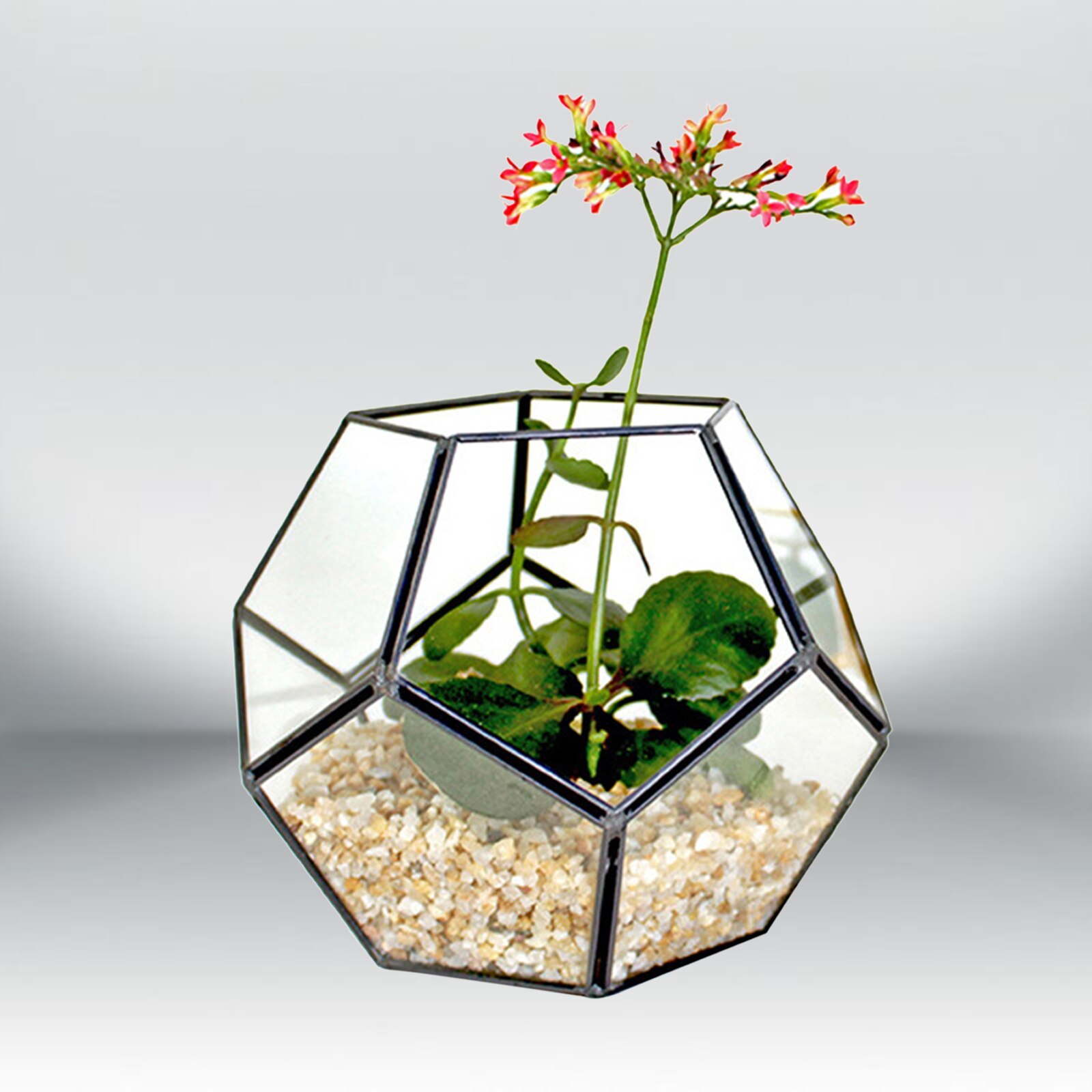 Geometrische Glas Terrarium Ornamenten Bloem Kamer Voor Thuis Tafelblad Decor