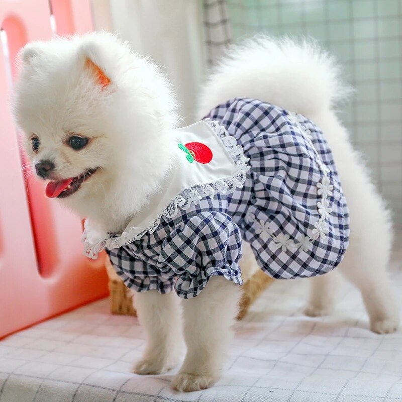 Hond Kleding Puppy Hond Teddy Schnauzer Pommeren Chihuahua Bichon Hond Schattig Huisdier Kleding Casual En Comfortabele Rode Apple Rok