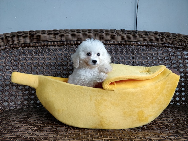 Banaani kissan sänky talo söpö banaani pentu tyyny kennel lämmin pehmeä lemmikkiveto kissatarvikkeet mattopetit kissoille kissanpennut
