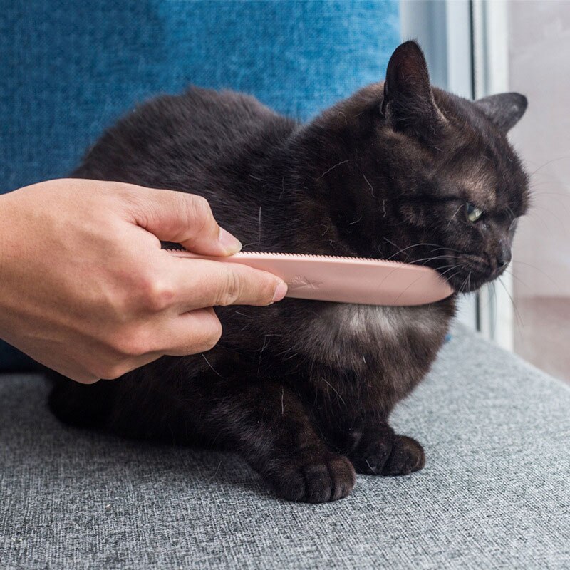 Peigne simulé langue de chat | Portable langue douce, vrais Touch, outils de soins, Simulation brosse pour chat, Massage d'animaux de toilettage, fournitures de toilettage