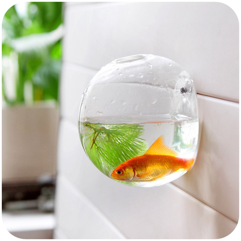 Home decoration glass vases wall hanging decorative vases fish bowl Aquarium fish tank jar flower vases vaso