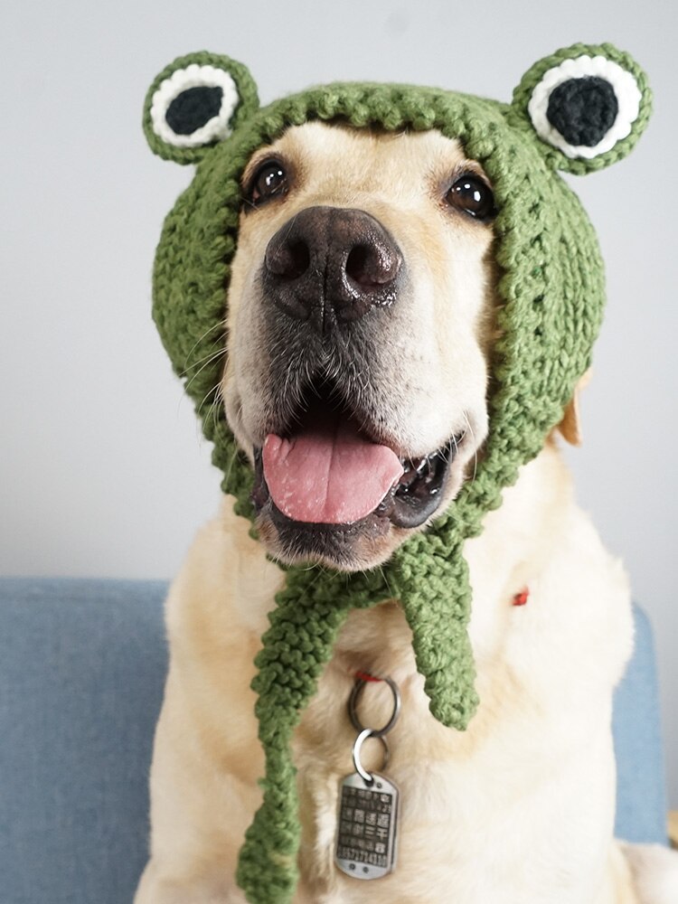 Funny Dog Cat Frog Hat Cute Pet Dog Costume Warm Knitting Wool Pet Hats Green Yellow Dogs Cap Birthday For Pet Dogs