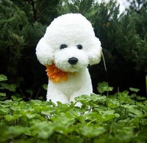 Mooie Hond Mannequins Huisdier speelgoed Teddy Hond Pluche Speelgoed Pop Woninginrichting Dressup: WHITE / 50