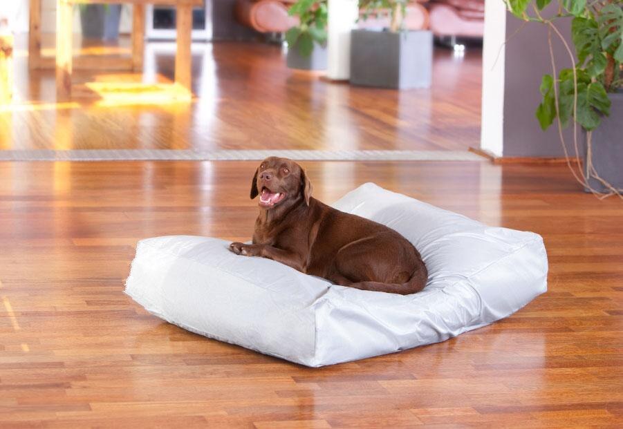 EXTRA large 100cm x 70cm x 20cm size dog bean bag sofa beds, pet beanbag cushion,waterproof and tear repellent beanbag bedding: light grey
