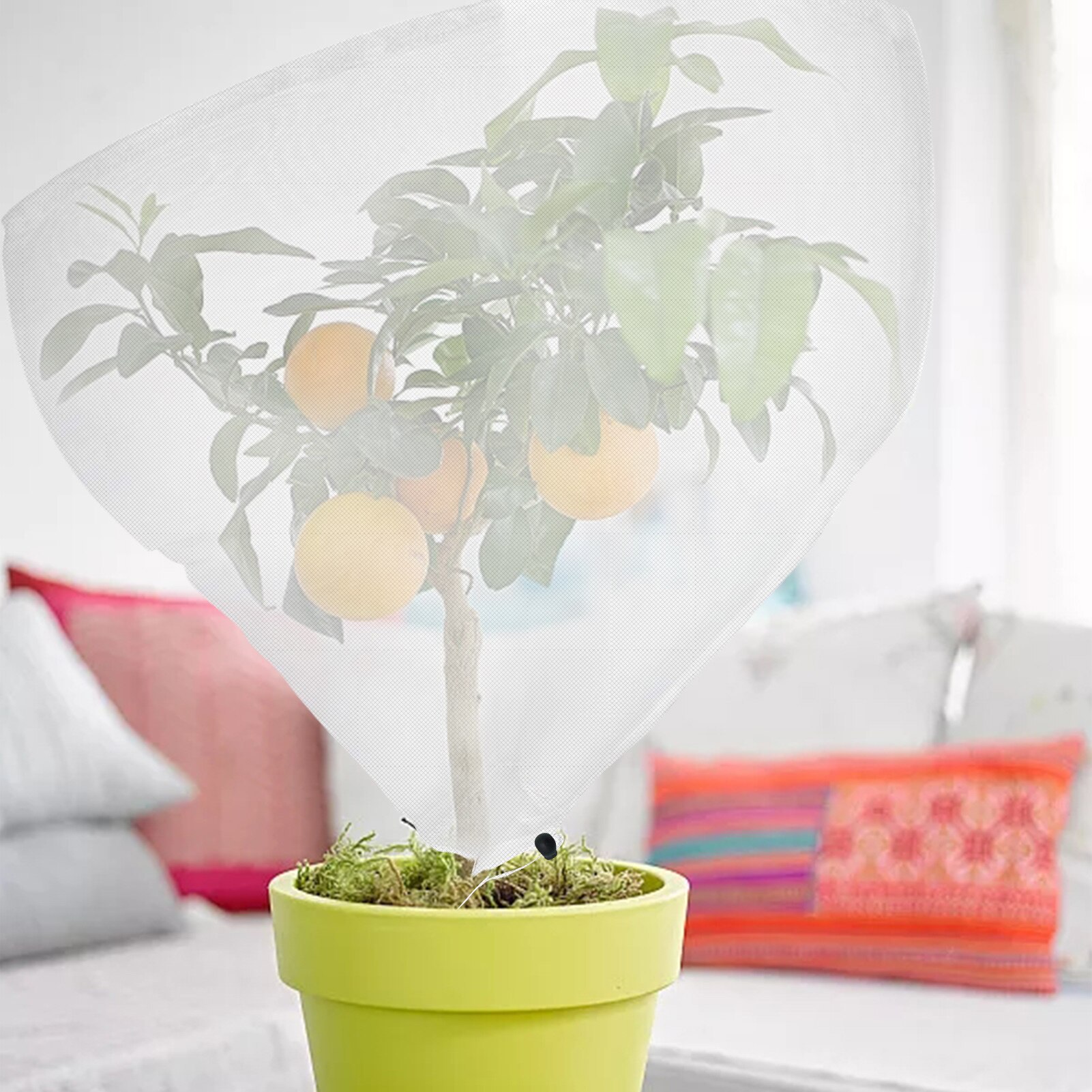 Plant protective cover UV insect-proof Garden plant net Tomato protective cover Garden plant bag for vegetable fruit flower