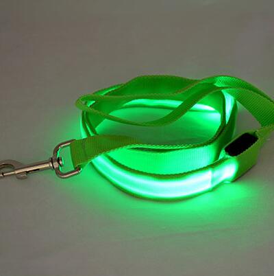 Laisse en Nylon pour chien, sécurité nocturne, LED clignotante dans la nuit, collier pour animaux de compagnie, dessin pour chat, petit gabarit: green / Width 25mm
