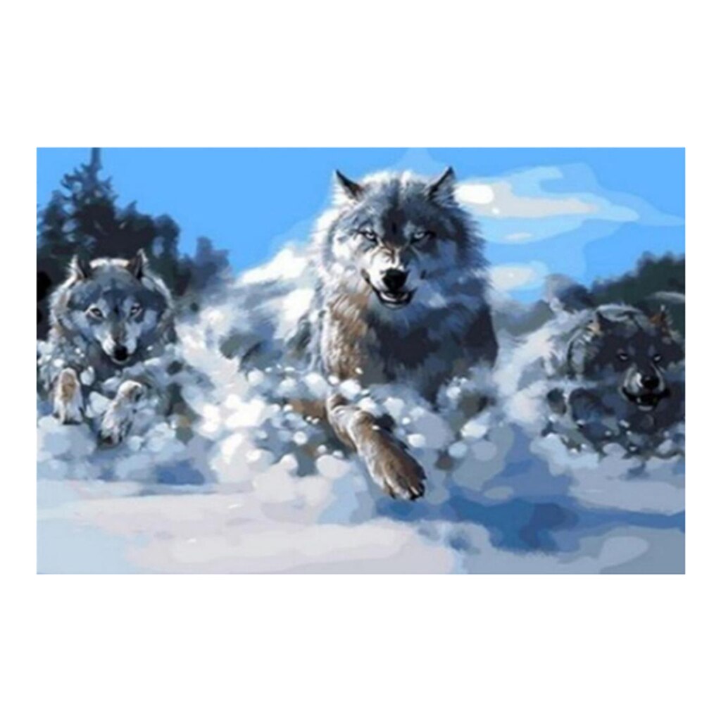 DIY 5D Diamond Painting Kits For Adults Full Drill, Embroidery Paintings