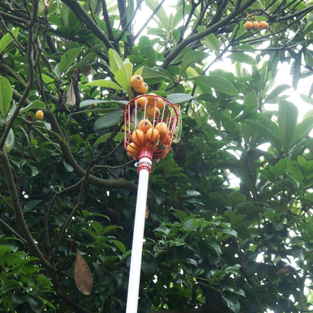 Aluminum Deep Basket Fruit picker Convenient Horticultural Fruit Picker Gardening Peach Picking Tools Fruit Picker Catcher