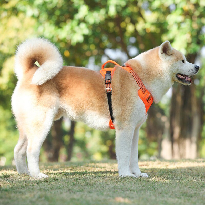 Durable Pet Harness For All Season Adjustable Dogs Training Harness Explosion-proof Vest Harnesses