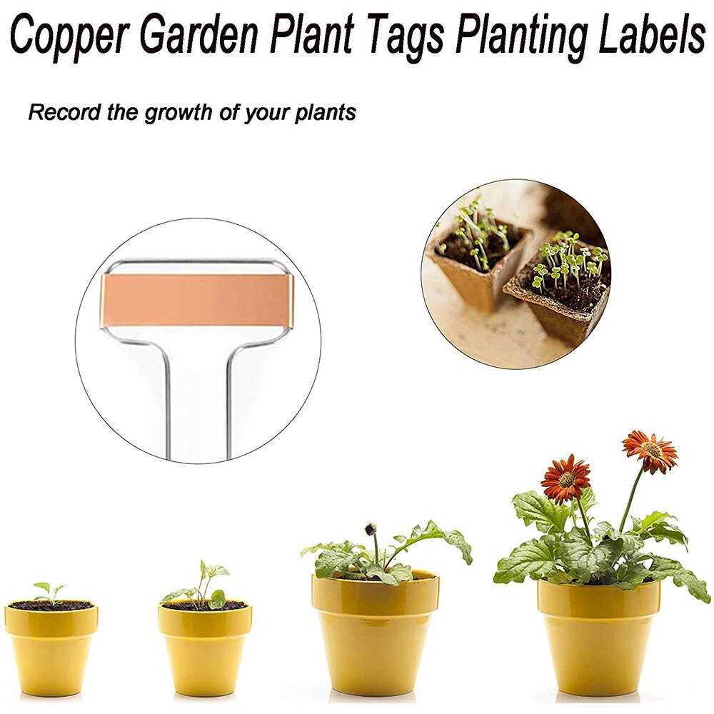 Metal Plant Labels, Plant Markers Met Marker Pennen, metal Plant Tags Voor Tuin Labels Plant Labels Voor Outdoor Tuin Markers