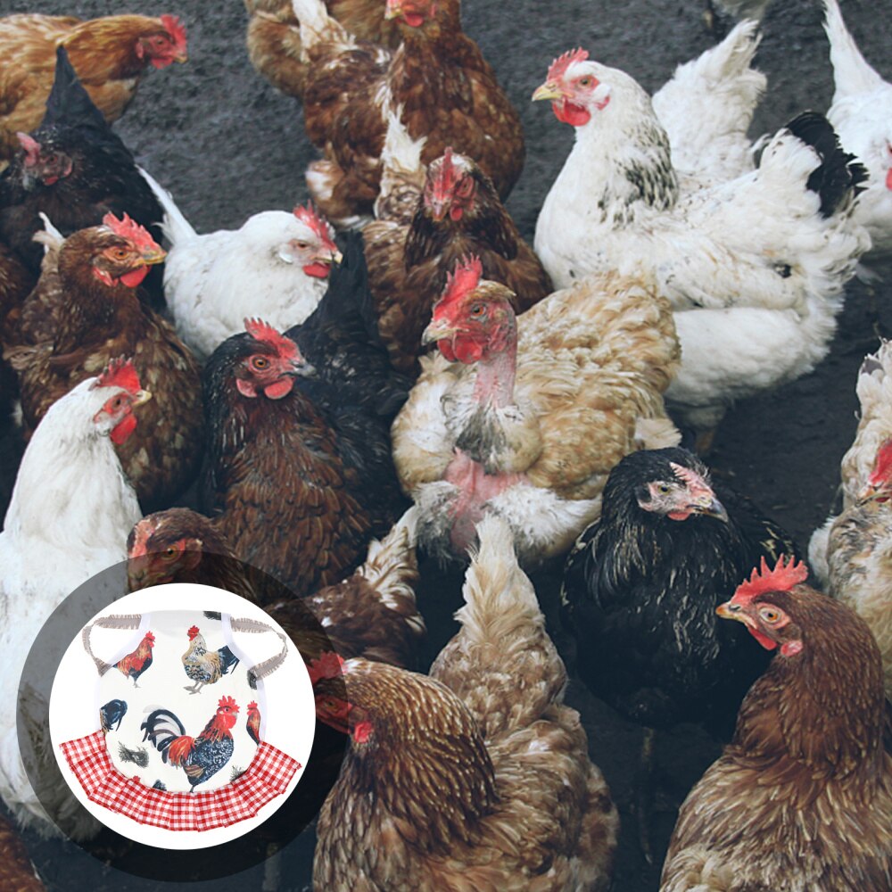 Fixateur de Protection des plumes d'animaux de compagnie, soin de la volaille, Protection de l'aile arrière, tablier pour poule: C