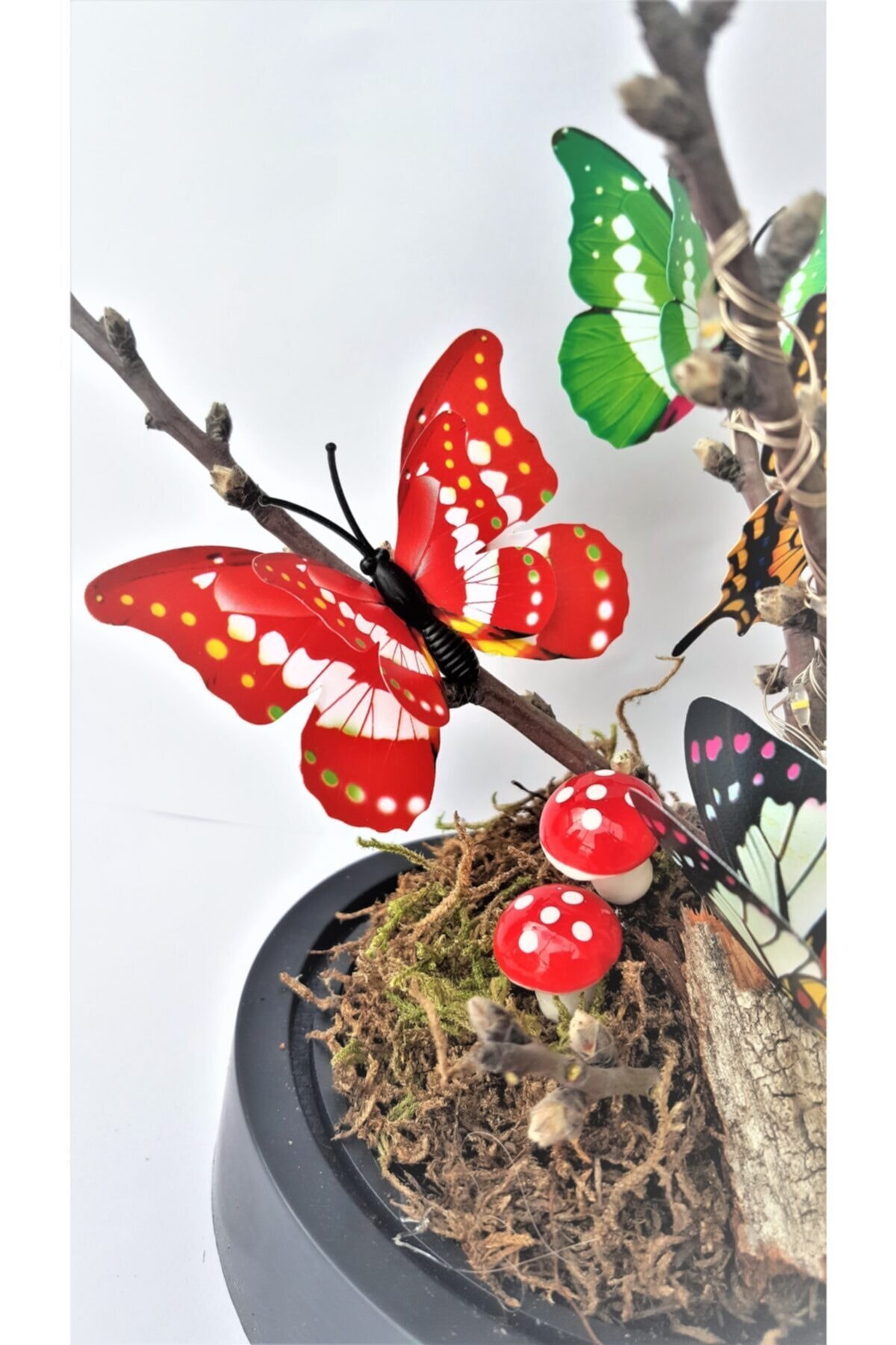 Vase lumineux avec papillon, spécial, décoratif
