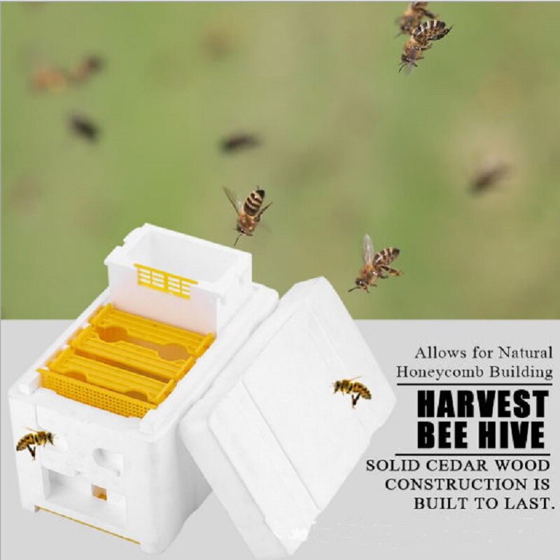 Foam Hive Box Bee Queen Mating Box Copulation Pollination Beekeeping For Bee Mating Tool eehive Beekeeping Case Reserve