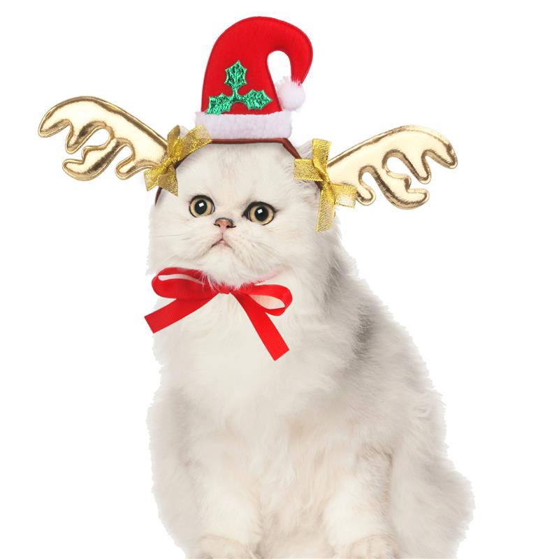 Julehund pandebånd gevirer kæledyrsforsyning hund kat hjorte pandebånd dekoration bamse gevir hund herre hovedbeklædning: Santa hat gevir