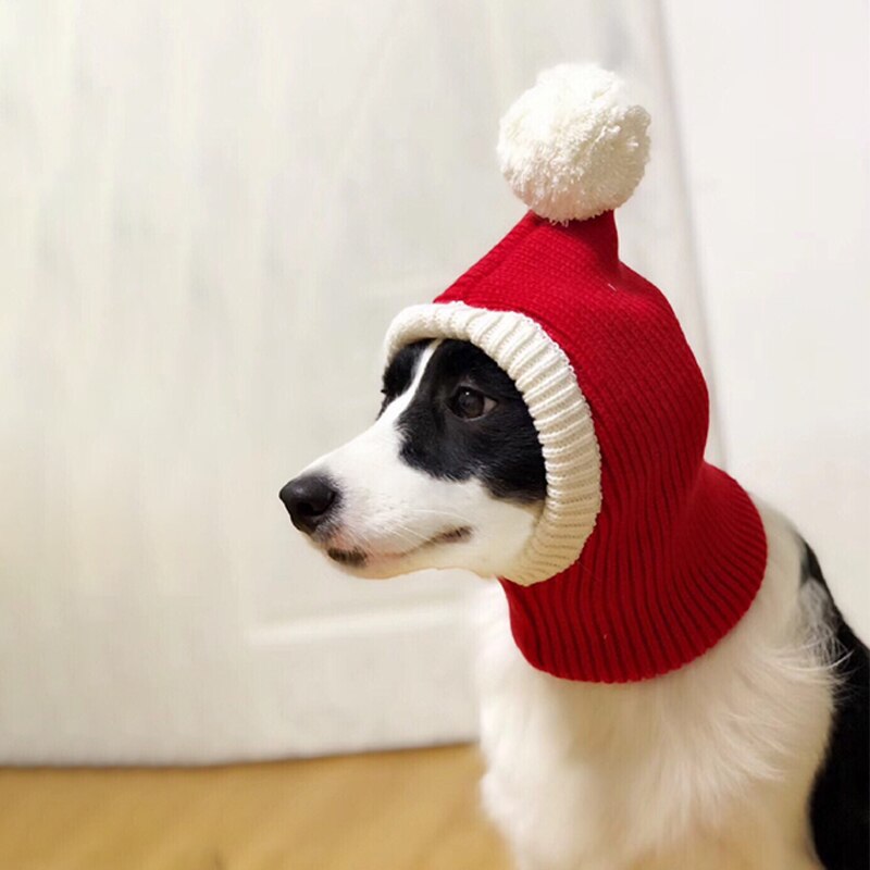 Julehund lue strikkede kjæledyr luer til hunder tilbehør vinter varm katt hund lue valp kjæledyr luer til hunder lue med ball hodeplagg