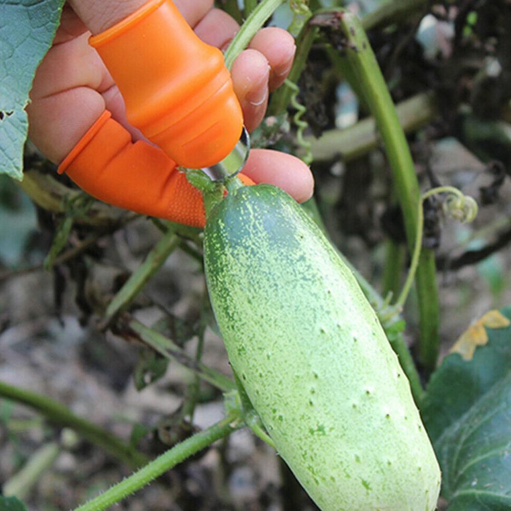 1 stücke Silikon Finger Schutz Schutz Getriebe Sicher Obst Pflücken Werkzeug Garten Protektoren für Schneiden Klinge Ringe Garten Handschuhe