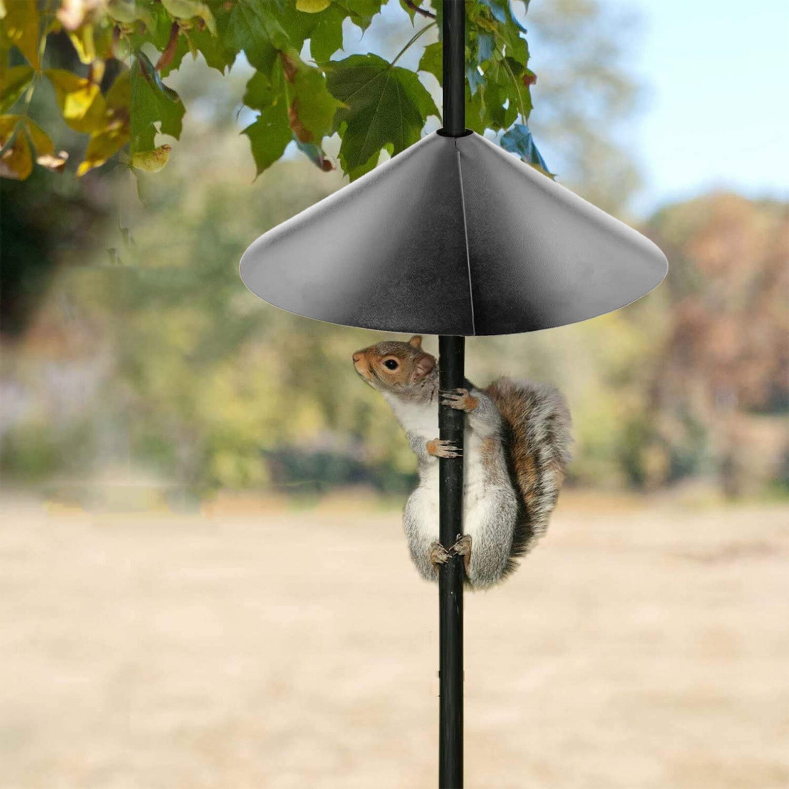 Dispositif de protection Anti-écureuil, type souris, pour mangeoires à oiseaux, déflecteur d'écureuil enroulé, décor de jardin Unique: Silver 
