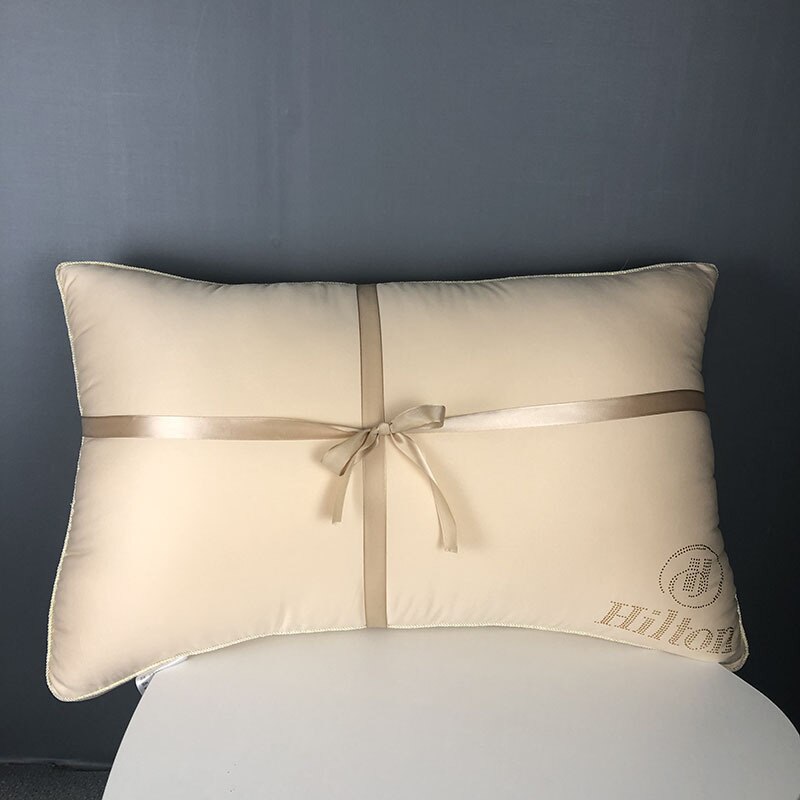 48x74cm maison Textile velours oreiller noyau luxe fleur chaude oreiller pour hôtel literie plume coussin noyau: Champagne / 48x74cm (950g) 1pc
