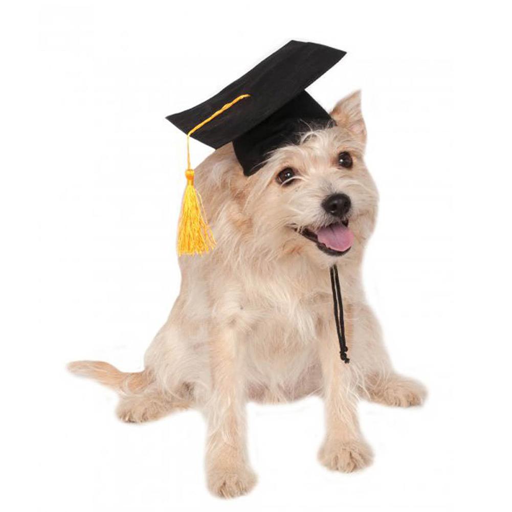 Puppy Dog Dr. Hat Decoration Dog Custom Graduation Cap Dog Degree Headgear For DIY Pet Party Accessories: Default Title