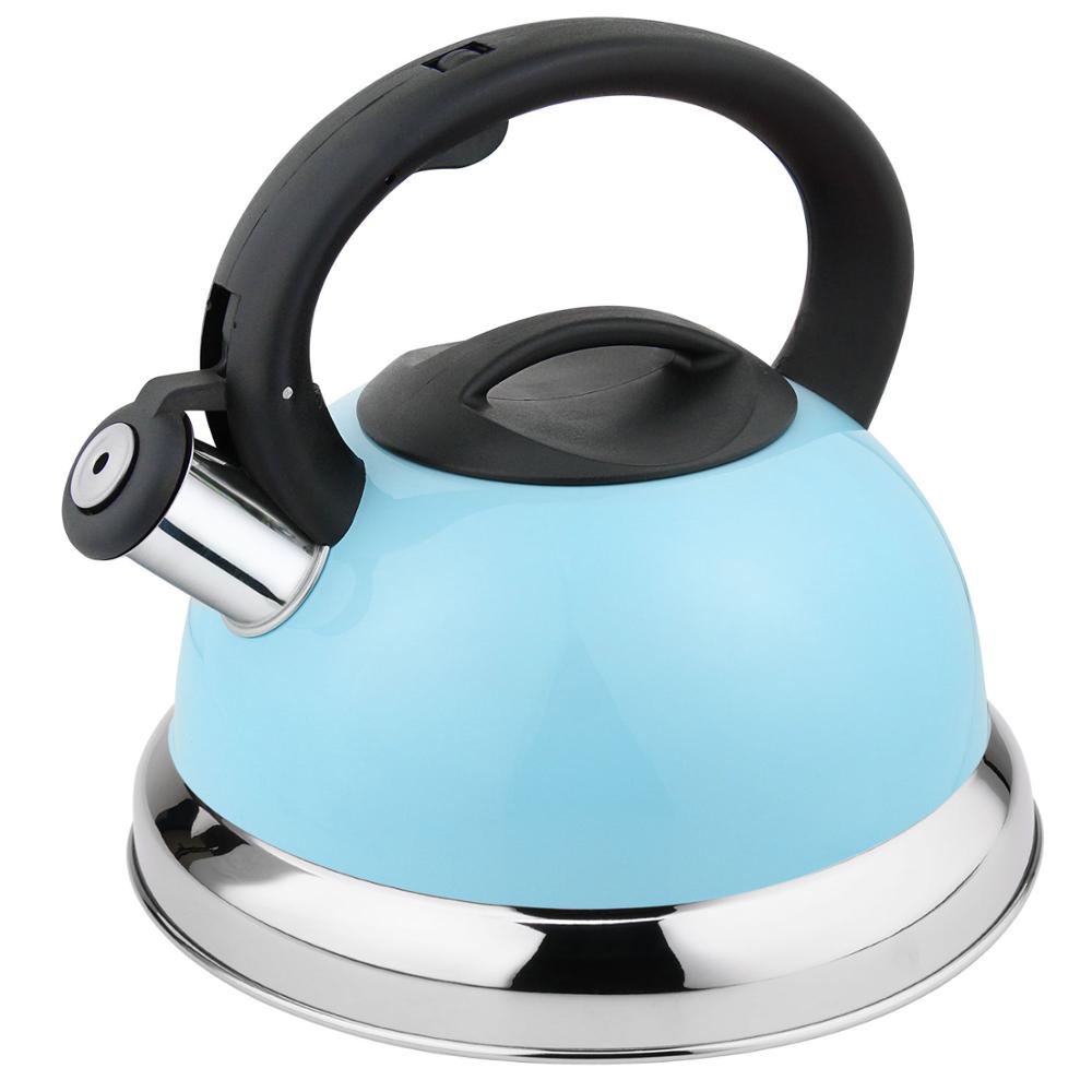 Inductie Waterkoker Kleur Coating Hittebestendige Waterkoker: Sky Blue