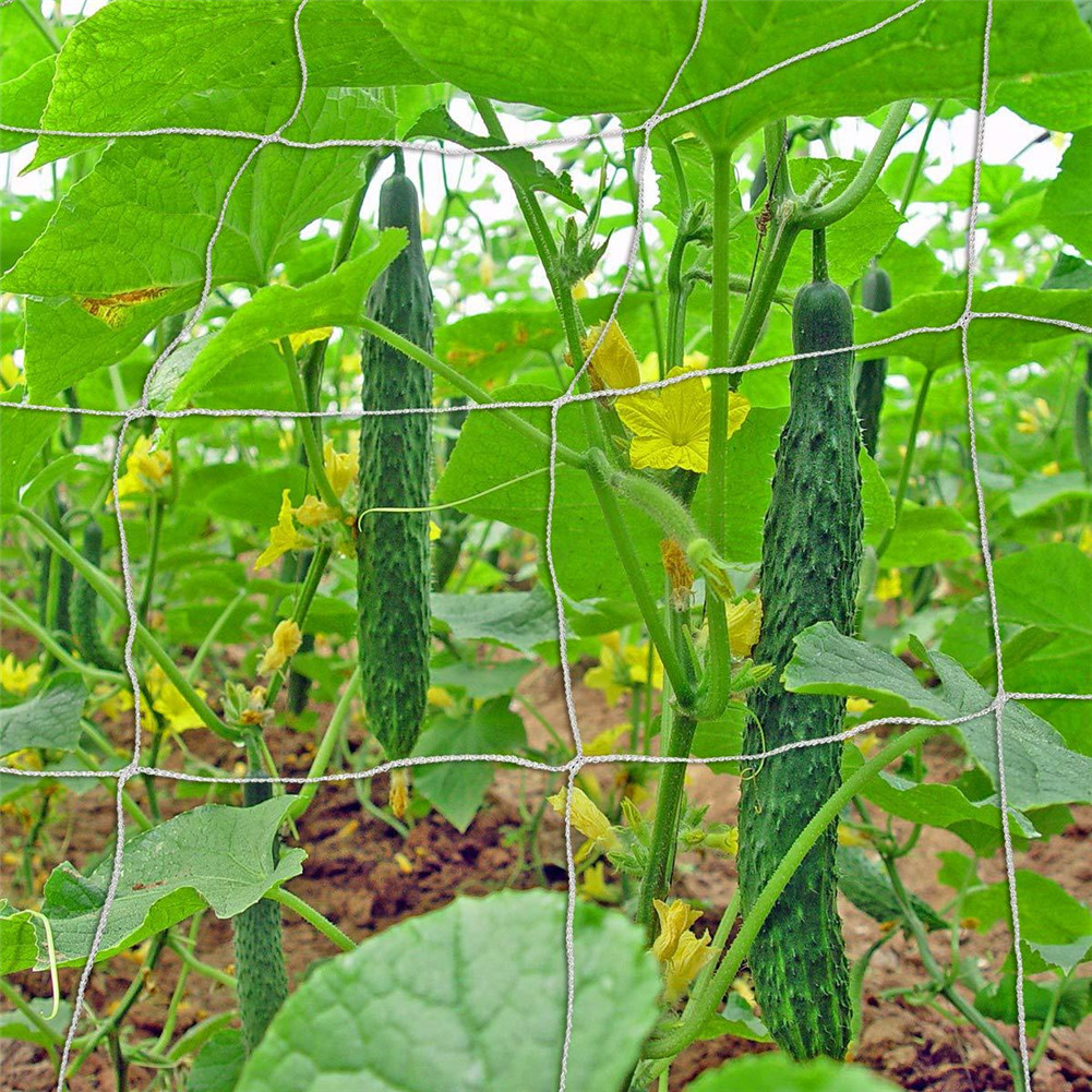 Garden Plants Climbing Net Polyester Rattan Net Cucumber Vine Flower Netting Support Net Grow Holder Garden Trellis Netting
