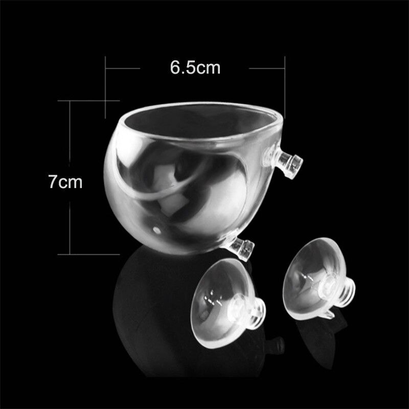 Aquarium Accessoires Crystal Clear Glas Plant Pot Plant Bekerhouder Aquarium Landschappen Cups
