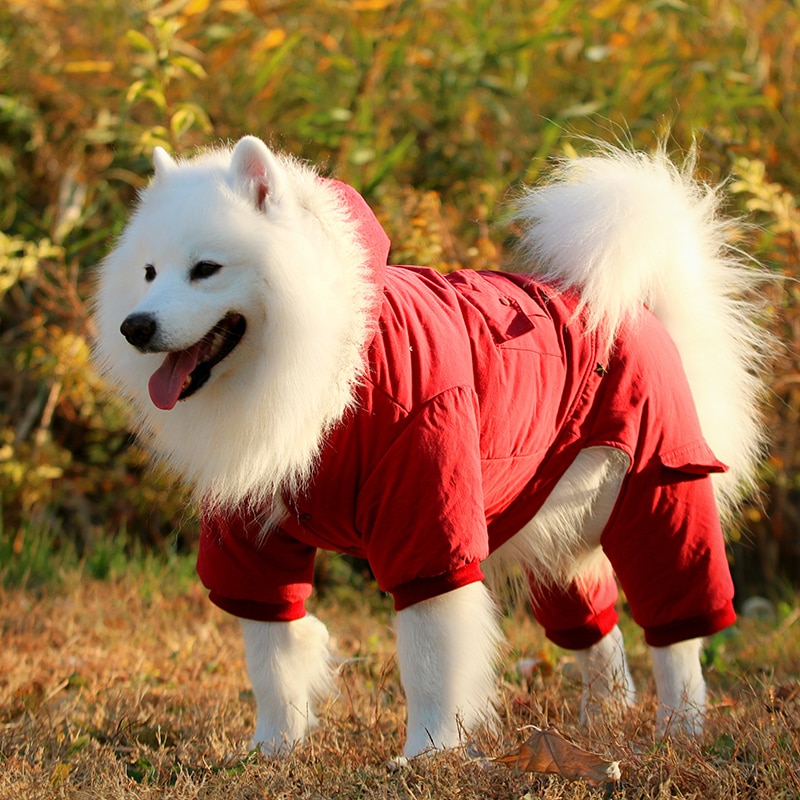 Grote Hond Kleding Winter Grote Hond Kleding Warm Jumpsuit Jasje Outfit Samojeed Golden Retriever Labrador Husky Hond Kostuum