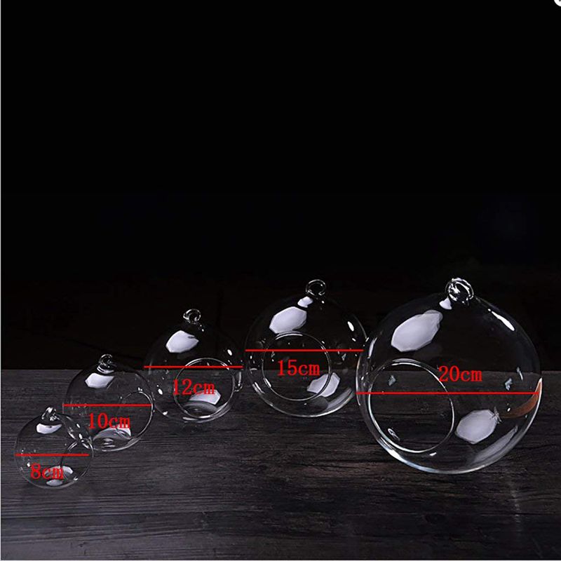 Hanging Glass Bottle Glass Vase Terrarium Hydroponic Container Decor - 12cm