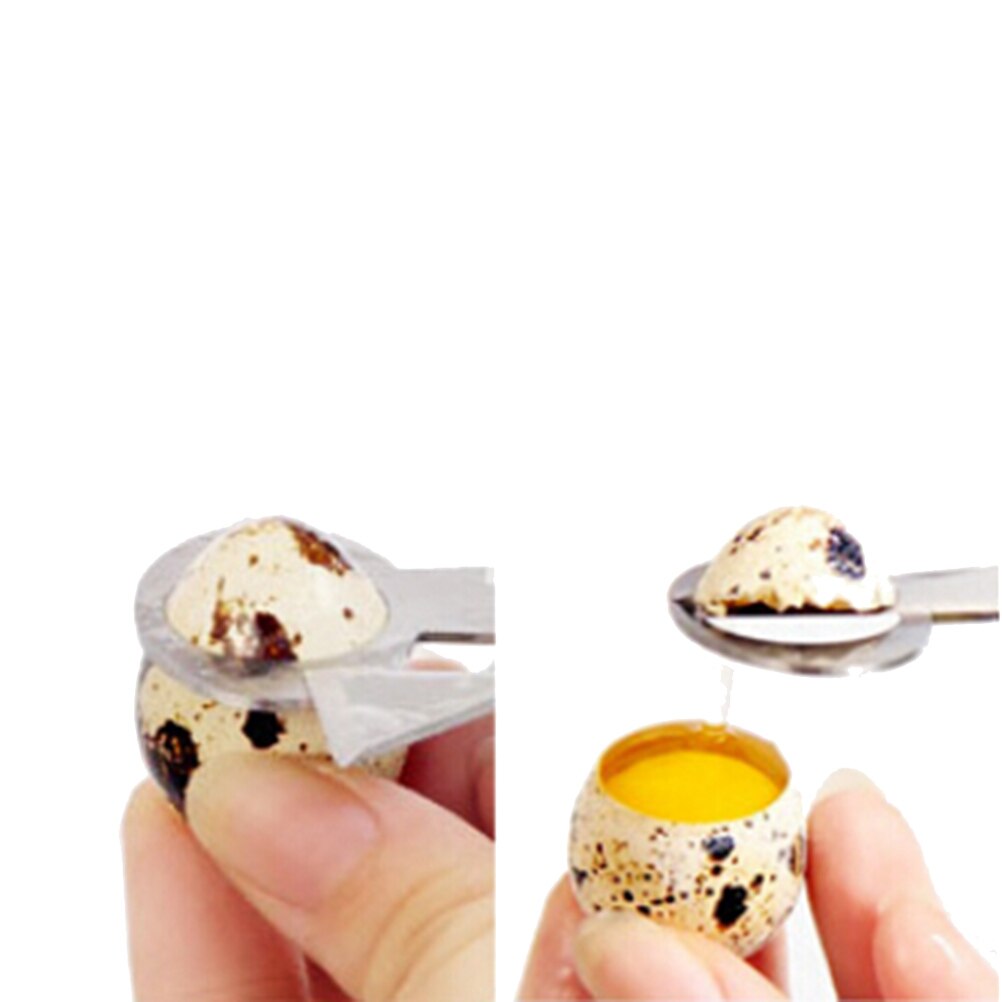 Pigeon Bird Cutter Opener Tool Clipper Quail Scissor