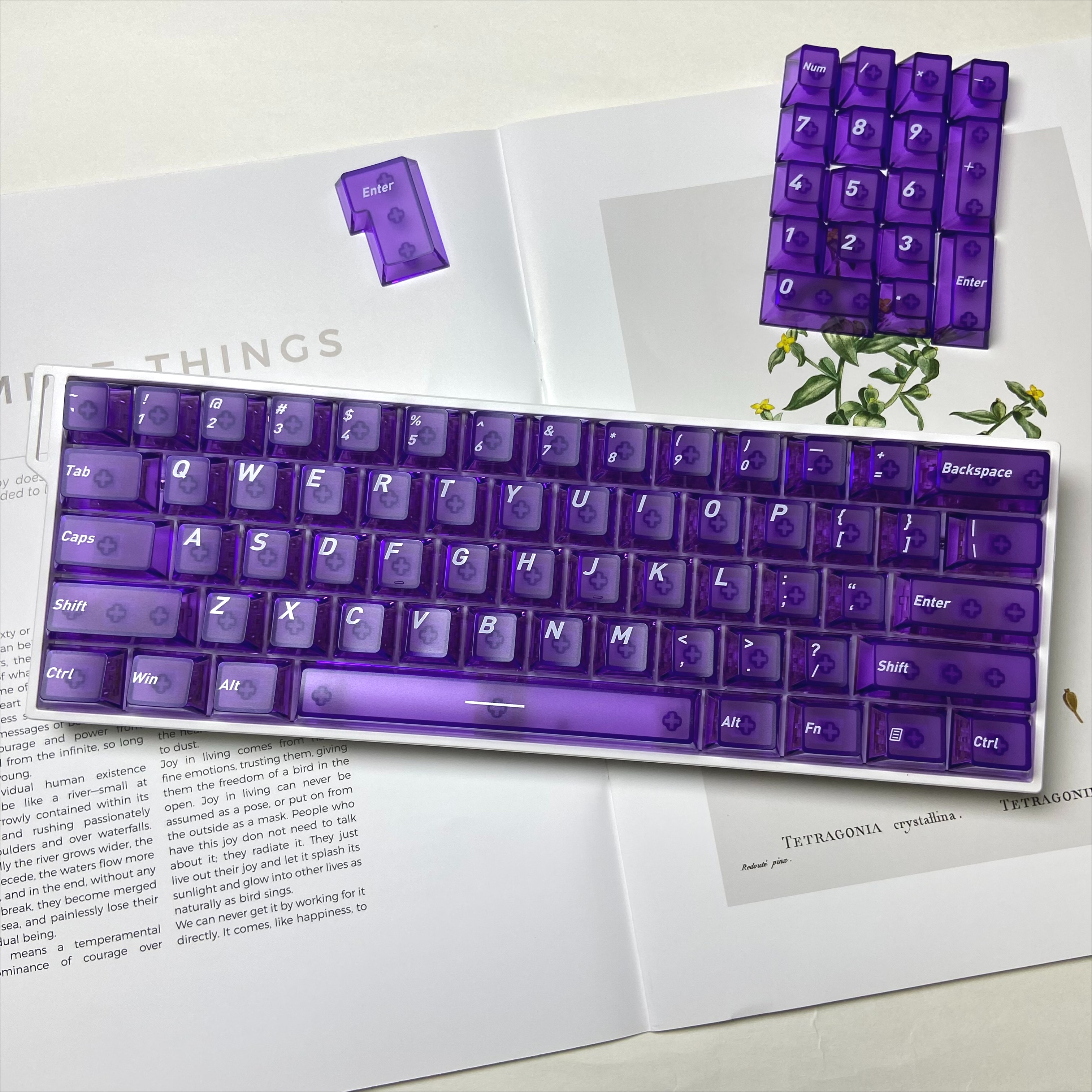 Front Matte Finish Keycaps Sides Translucent Cherry Profile PC Keycaps for Gaming Mechanical Keyboard Key Caps Custom Keyboard