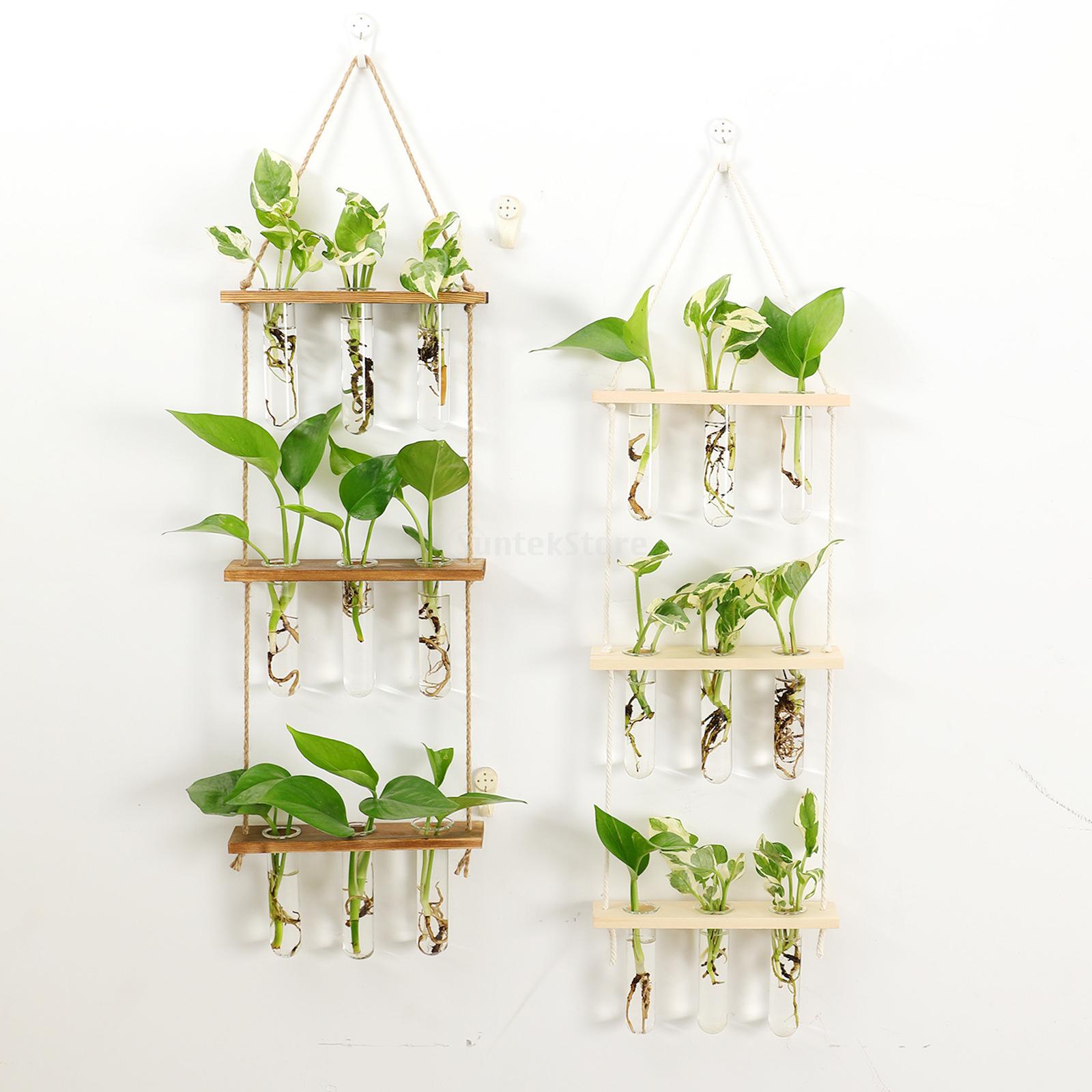 Prüfung Rohre Glas Pflanzer Zauberstab Hängen Terrarium Container Blume Knospe Vase mit Holz Halfter für Ausbreitung Wasserkulturanlage