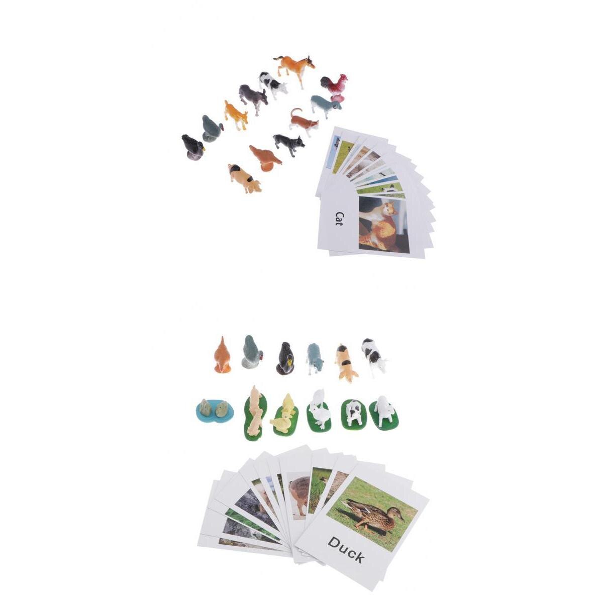 24Pc Education Animals Toy Animals Model Card Plastic & Paper Multicolor A+B