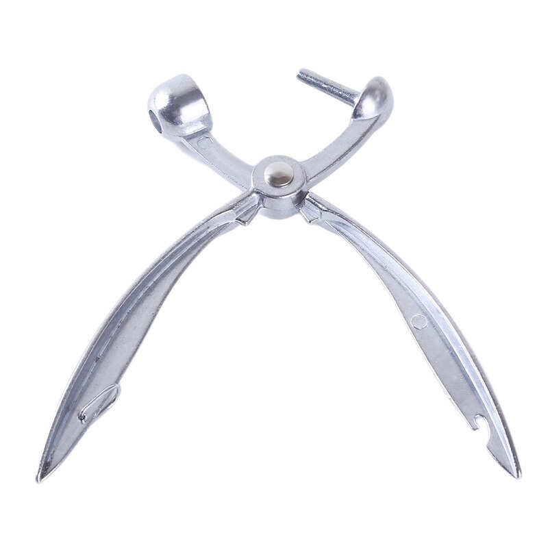 Deshuesador de fruta de plata, utensilio para quitar semillas y huesos de fruta, utensilios de cocina, deshuesador de aceitunas: Silver