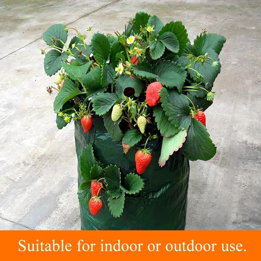 3 Liter Grow Bag Opknoping Aardbei Planten Bag Wat 3 Liter Grow Bag Opknoping Aardbei Planten Bag Wat