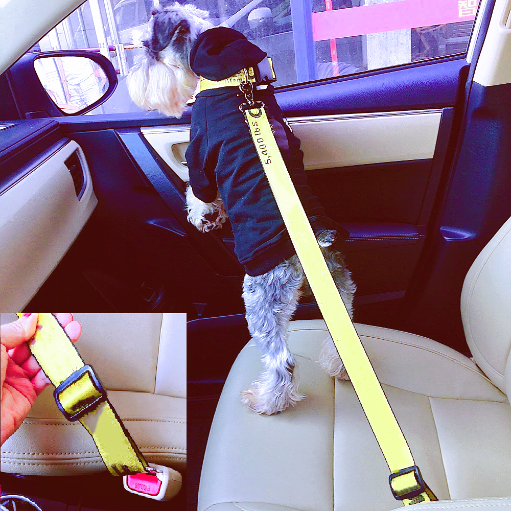 Dog Seat Belt Puppy Auto Veiligheid Riemen Mode Brief Print Hondenriem Tractie Riemen Kleine Honden Accessoires A211