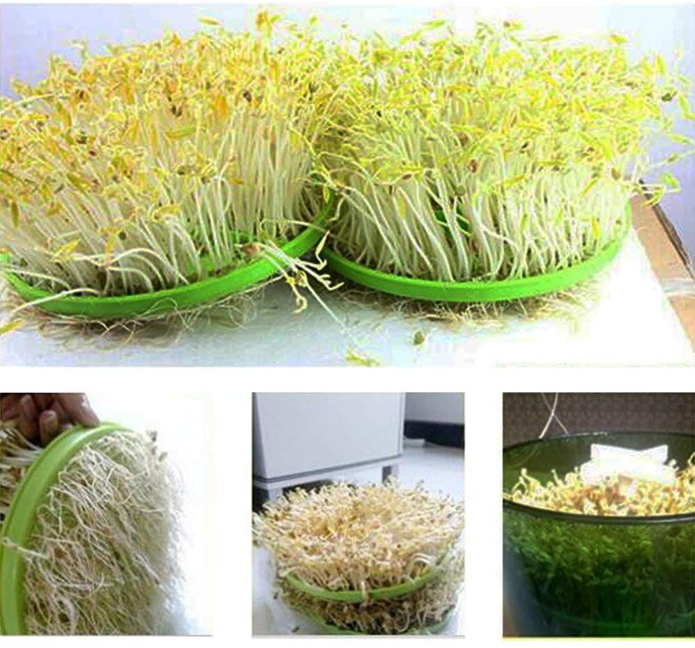 US 110V Automatic Bean Sprouts Machine largecapacity LED Seed Grow Growing Tool