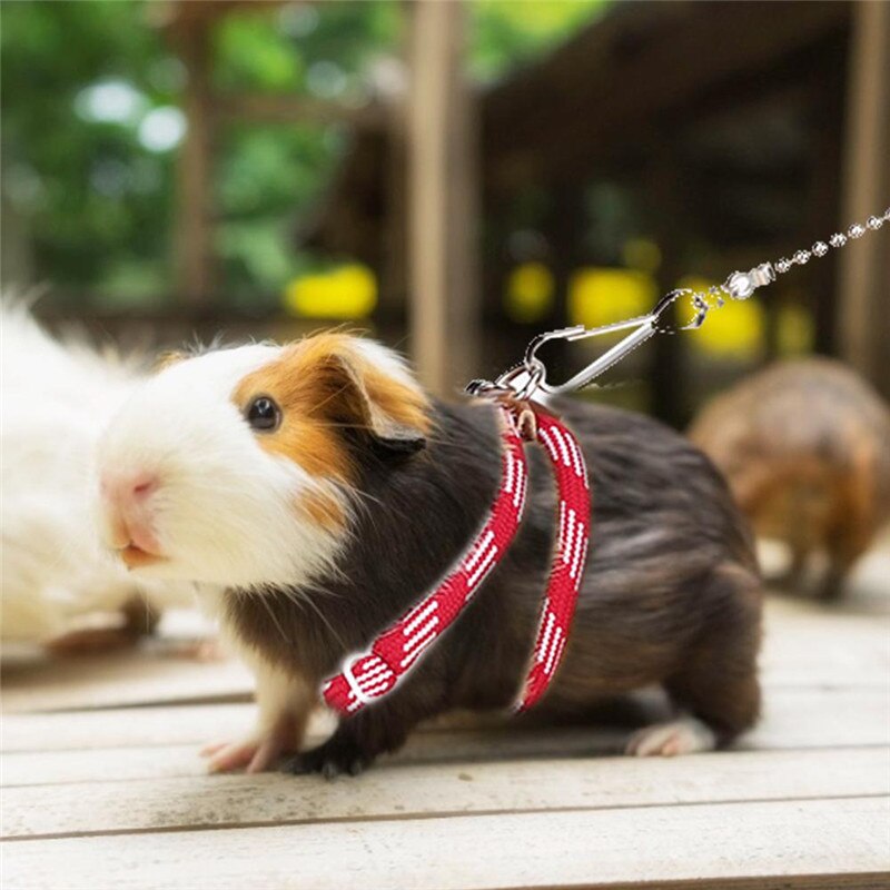 Cute Adjustable Pet Rat Mouse Hamster Harness Rope Hamster Leashes Lead Collar For Rat Mouse Outdoor Supplies