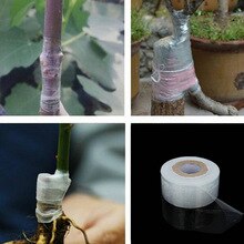 1 rulle selvklæbende frugttrætransplantatbånd planter værktøjer børnehave strækbar haveblomst grøntsagstransportbånd 120m