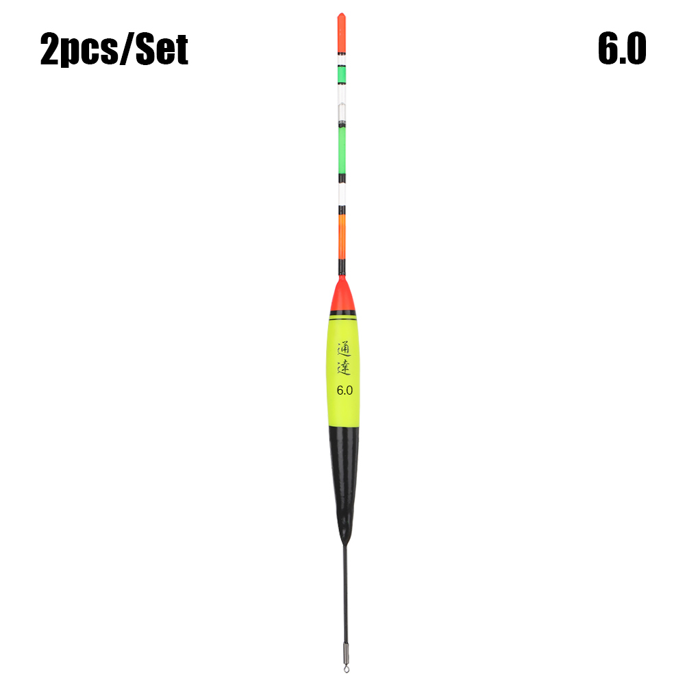 2PCS Long Oval Fishing Float 8g/10g/15g/20g/40g/60g Fishing Bobber EVA Plastic Elastic Outdoor River Sea Buoyancy Fish Tackle: D-6.0