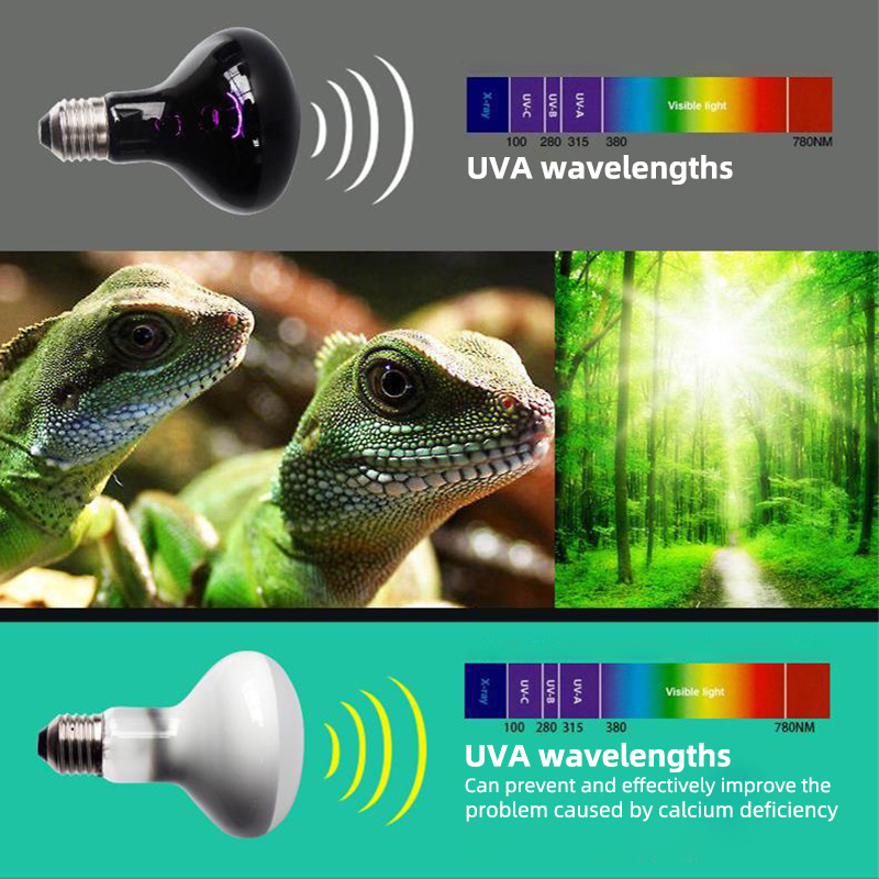 1Pc 4 Soorten Huisdier Verwarming Lamp Uva Dag Nacht Amfibie Snake Lamp Warmte Reptiel Lamp Licht 220-230V 25W 50W 60W 75W 100W