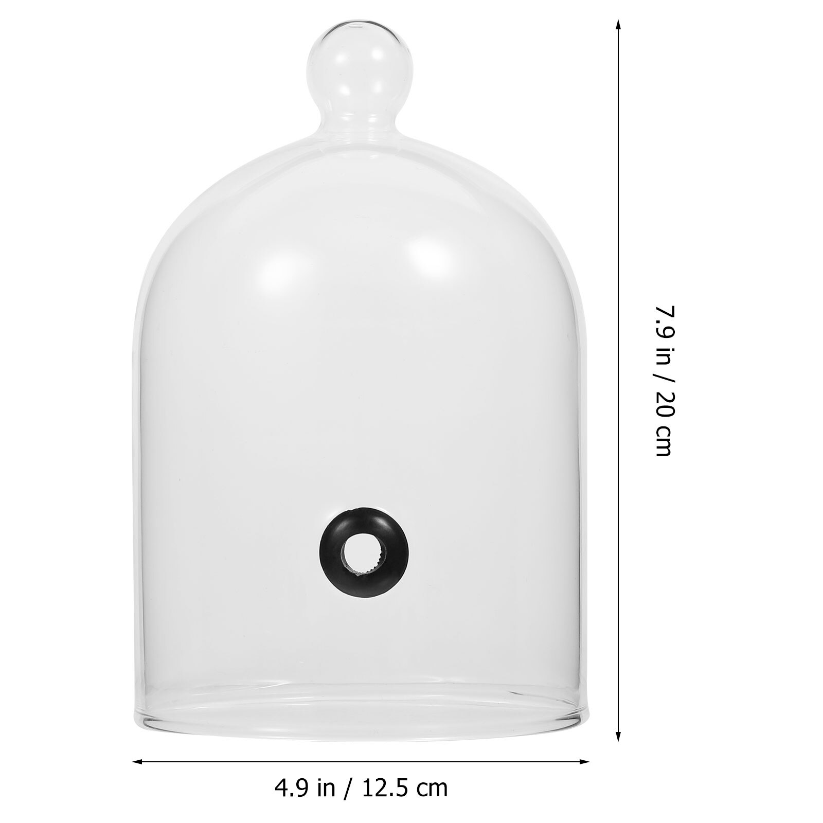 Coperchio a cupola in vetro coperchio per esposizione di Pannello per torta coperchio per piatti da dolce coperchio fumé coperchio per fiori conservato coperchio per decorazioni da tavola: B