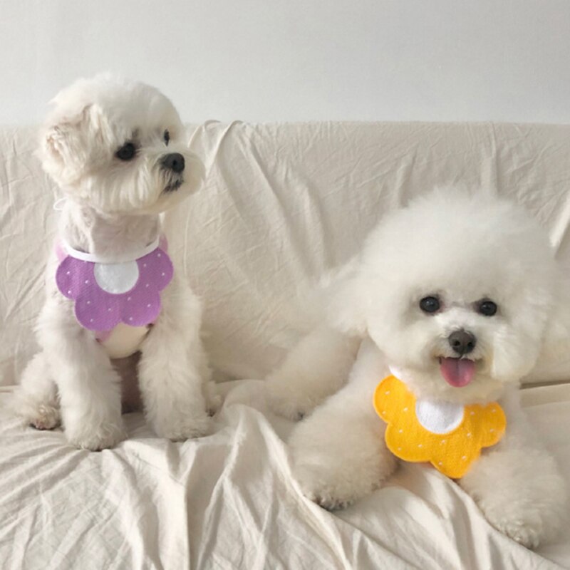 Collar con forma de flor para mascotas, Bandanas Kawaii para perros y gatos, Baberos para mascotas, bufanda, accesorios para cachorros y Husky, pechera de punto para gatos y perros