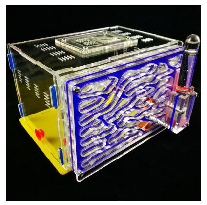 Ant Nest C1 Insect Cage Farm With Feed Hamper Acrylic Display Box Ant Workshop Ant Hill Castle Granja De Hormigas Hormiguero: blue