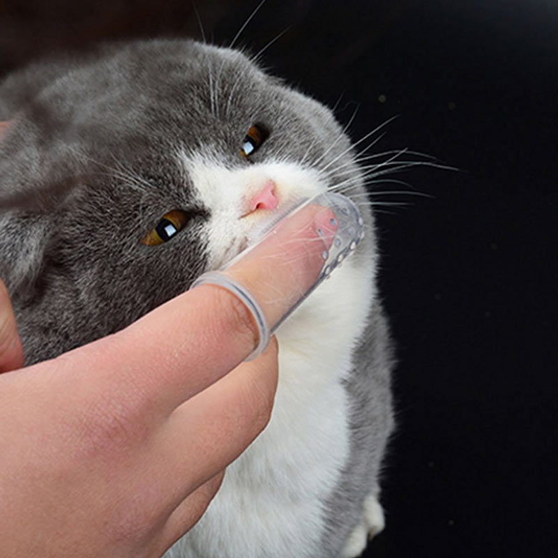 6 stk hund kat blød finger tandbørste fødevarekvalitet materiale til kæledyr sundhed børste forsyninger htq 99