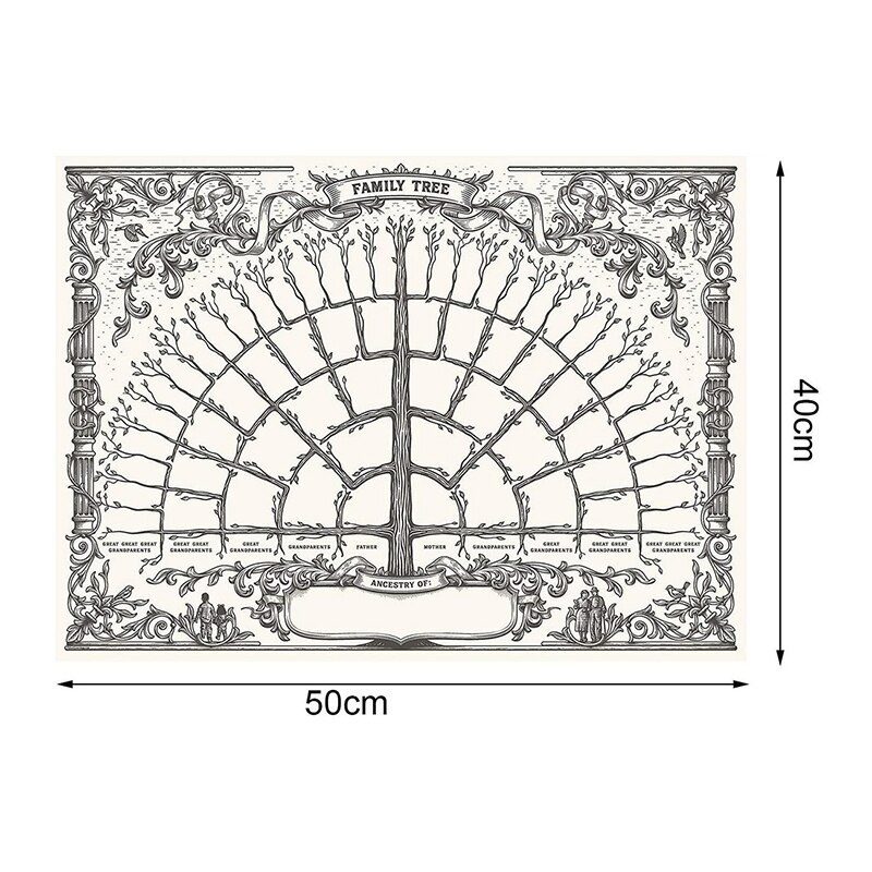 Släktträdsschema för att fylla  in 5/6/7 generations släktforskningsaffisch tomt fyllbart förfäder diagram  tn99: C