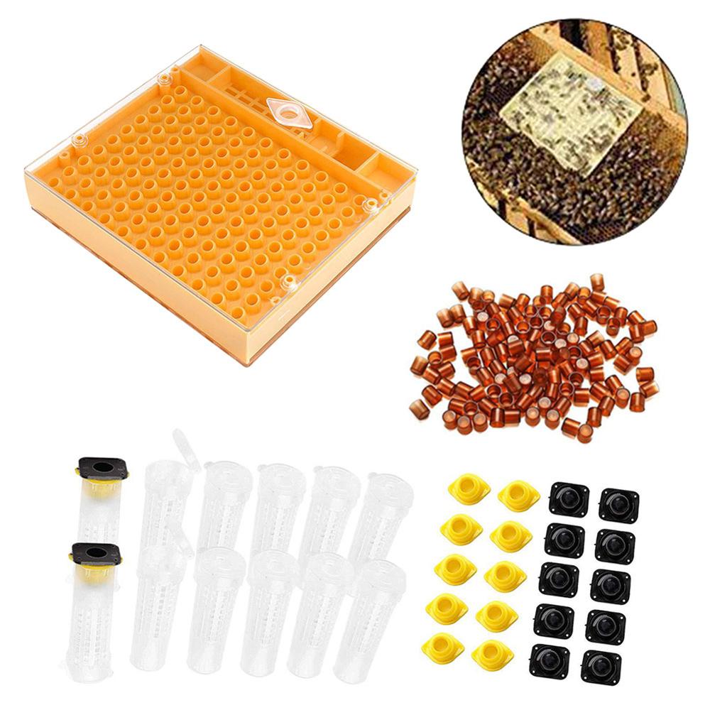 131pcs Beekeeping Tool Set Bee Cultivation Cage Beekeeping Incubator Cell Plastic Bee Cups Kit Queen Bee Rearing Set