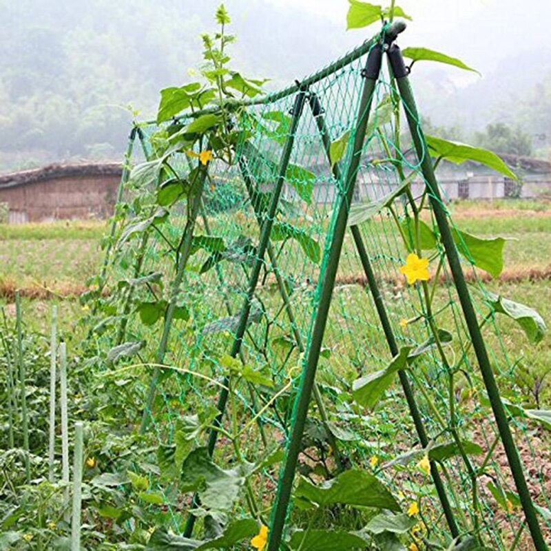 Garden Plants Climbing Trellis Netting Bean Fruits Vegetables Support Net